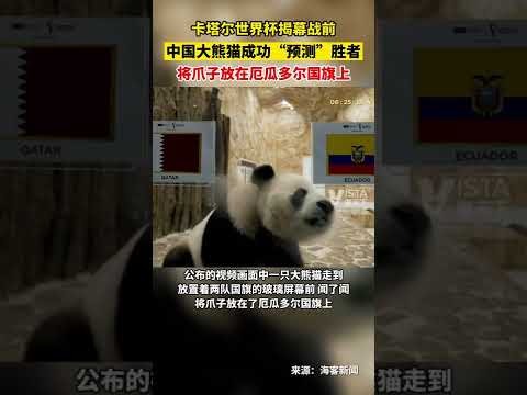 库里,分巴特勒首,秀献,皇冠体育app下载,皇冠体育官网,澳门皇冠体育,bet皇冠体育在线